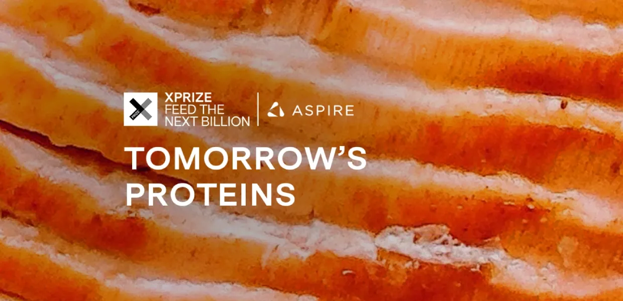 Feed the Next Billion Challenge