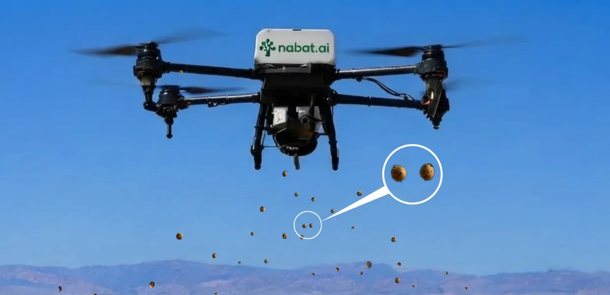 Nabat Terrapod Chalenge